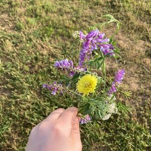 Meet your Posher, Demonwolf